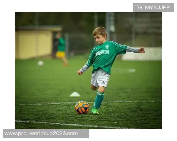 足球训练资源分享平台百度云助力青少年足球技能提升与发展